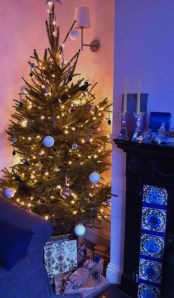 The tree: losing needles fast!